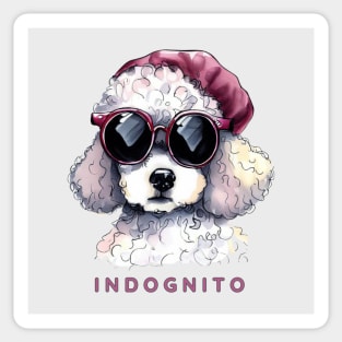 Poodle Indognito Sticker